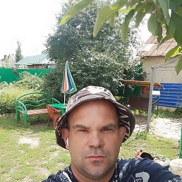 , 39, 