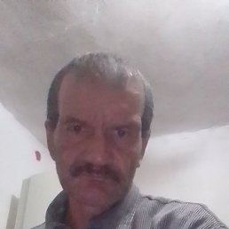 , 42, 