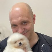 ���������, 51 ���, ����