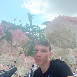 �������, 19 ���, ������