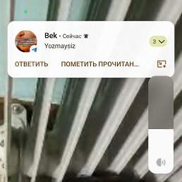 Volik, ������, 38 ���