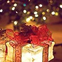 ���� �����, ����������� - ��������� 14 ������� 2025 � ������ ���� ����������