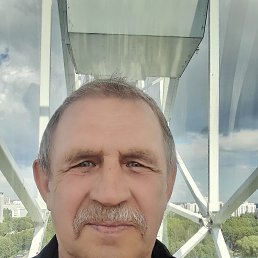 , 61, 