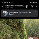 ���� ��������, ������, 53 ���� - ��������� 3 ��� 2025 � ������ ���� ����������