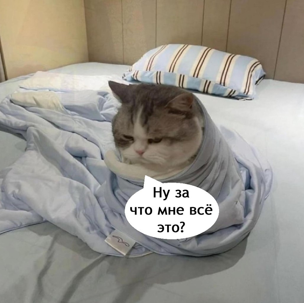    - 6