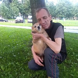 ���� �������, �����, 53 ���� - ��������� 19 ������ 2024