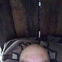 ���� Stas, ����������, 38 ��� - ��������� 16 ������� 2025 � ������ ���� ����������
