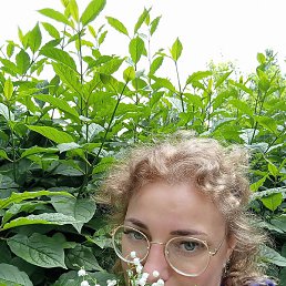 �������, �������, 42 ����