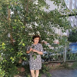 ���� �������, ������-���, 52 ���� - ��������� 14 ������� 2023