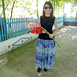 ���� ������, ���������, 46 ��� - ��������� 16 ��� 2026