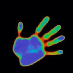 ������, �����, 20 ���