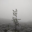 ���� �������, ������������, 67 ��� - ��������� 2 ������� 2025 � ������ ������ ��������