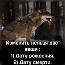���� �����, ������, 40 ��� - ��������� 6 ������� 2025