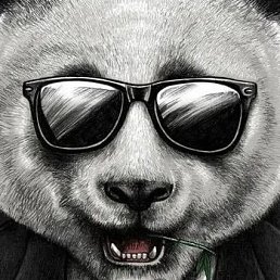 ���� ����, ������������, 36 ��� - ��������� 21 ������ 2023