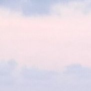 ��������, 50 ���, ������