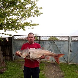 ����, 49 ���, ����