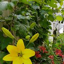 ���� �������, ������� - ��������� 20 ������� 2023 � ������ ����