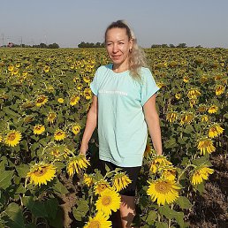 ����, �����, 50 ���