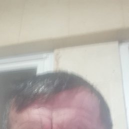 ���������, ������������, 65 ���