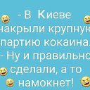 ���� ������, �������, 54 ���� - ��������� 17 ������� 2026 � ������ ������ ��������