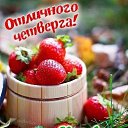 ���� �������, ����������, 64 ���� - ��������� 6 ���� 2025 � ������ ���� ����������