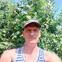 ���� ������, ������, 46 ��� - ��������� 17 ������ 2026 � ������ ���� ����������