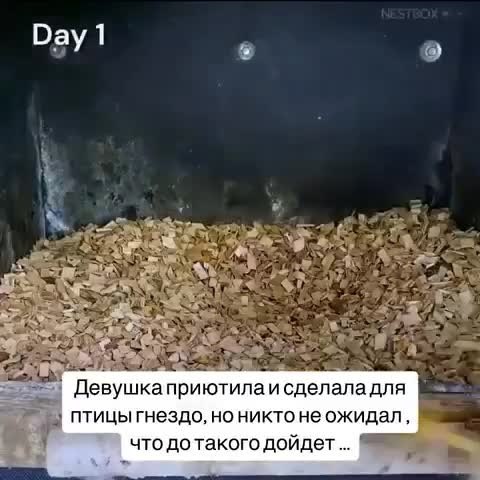 ������� ����� ������ �����