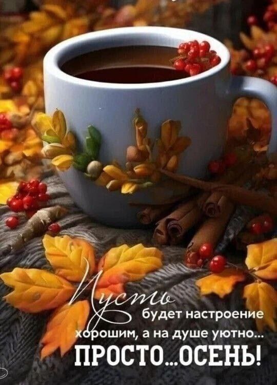 Бублик - 27 октября 2025 в 13:27 - 2