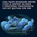 ���� ��������, ������ - ��������� 29 ��� 2025 � ������ ������ ��������