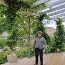 ���� Nikolai, �������� - ��������� 13 ������� 2024 � ������ ���� ����������