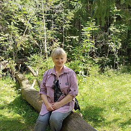 �������, �����, 65 ���