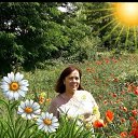 ���� �����, ������, 64 ���� - ��������� 15 ����� 2026 � ������ ���� ����������