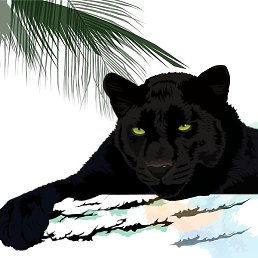 Black Pantera, ������