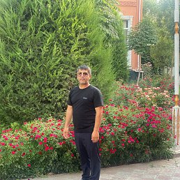 , 40 , 