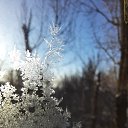 ���� ���������, ������ - ��������� 28 ������ 2026 � ������ ������ ��������