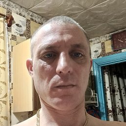 �������, ������, 37 ���