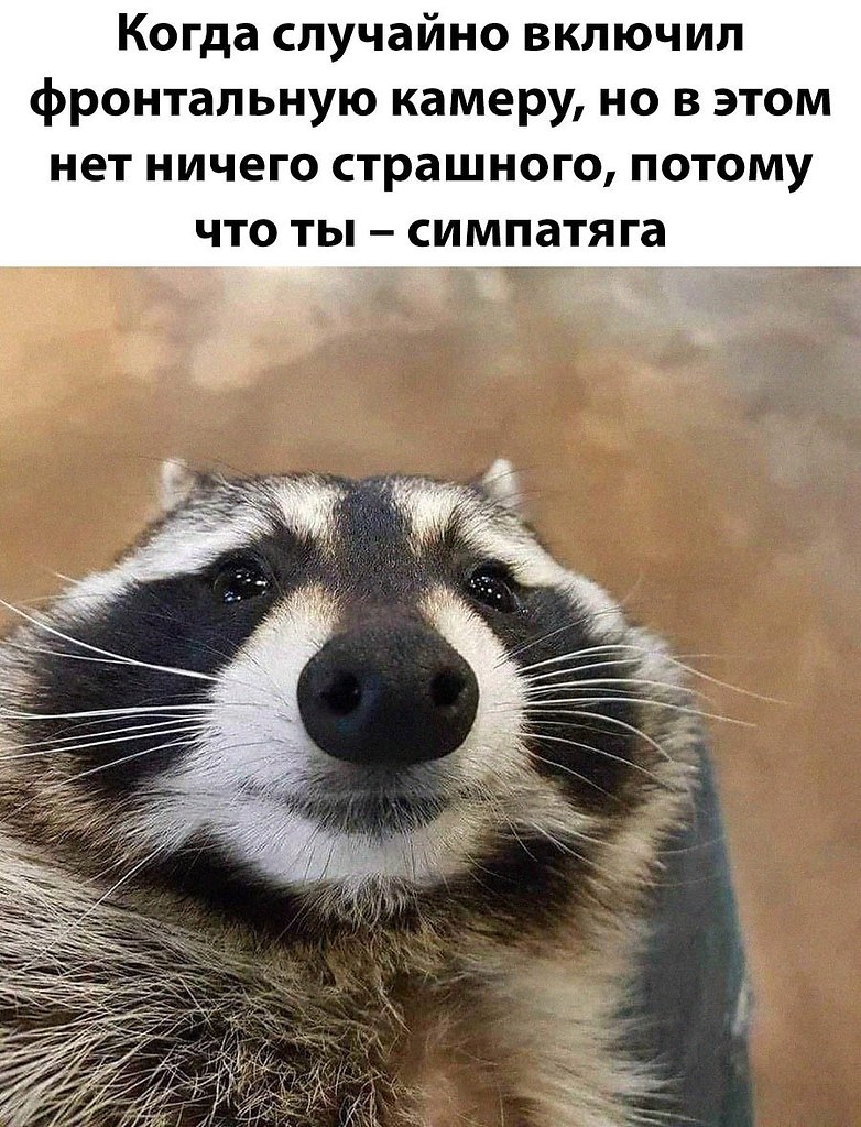    - 9  2025  08:23