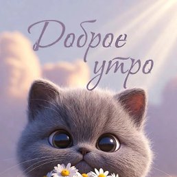 ���� ������, ���, 48 ��� - ��������� 16 �������� 2026