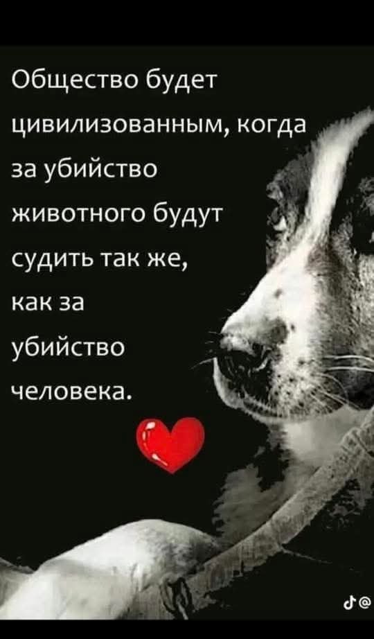   - 9  2025  19:57