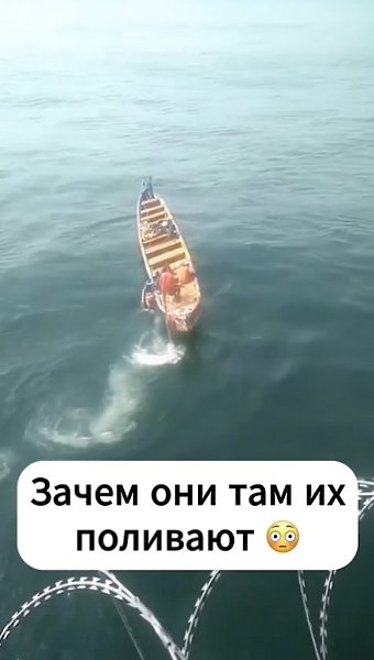    . - 2