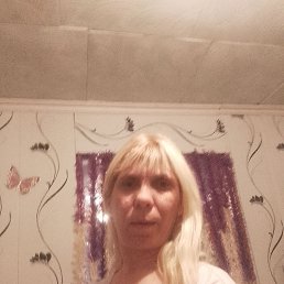 ���� ������, �����, 43 ���� - ��������� 31 ������� 2023