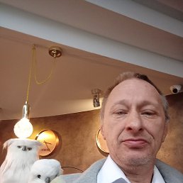 ������, 52 ����, ���������