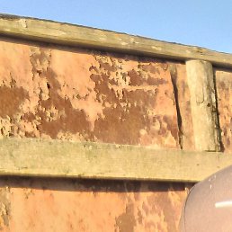 ������, ������, 50 ���