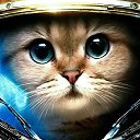 ���� ��������, ����������, 63 ���� - ��������� 5 ����� 2026