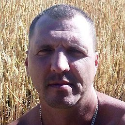 �������, ���������, 44 ����