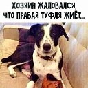 ���� Vladimir, ���������, 59 ��� - ��������� 12 ������ 2025 � ������ ������ ��������