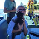 ���� �����, �������, 65 ��� - ��������� 29 ���� 2025 � ������ ���� ����������