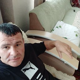 �������, 41 ���, ������