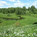 ���� ���������, �����, 55 ��� - ��������� 8 ����� 2025 � ������ ���� ���������� �����