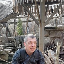 �����, 41 ���, ������-��-����